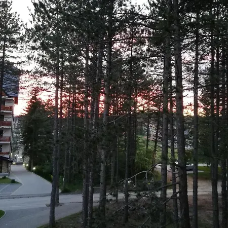 Desetka Apartment Zlatibor