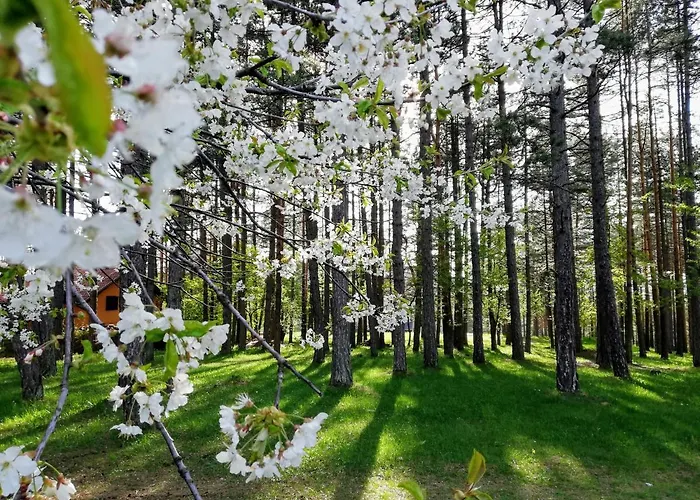 アパート Desetka